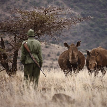 Elewana Lewa Safari Camp Hotel Timau Eksteriør billede