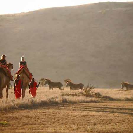 Elewana Lewa Safari Camp Hotel Timau Eksteriør billede