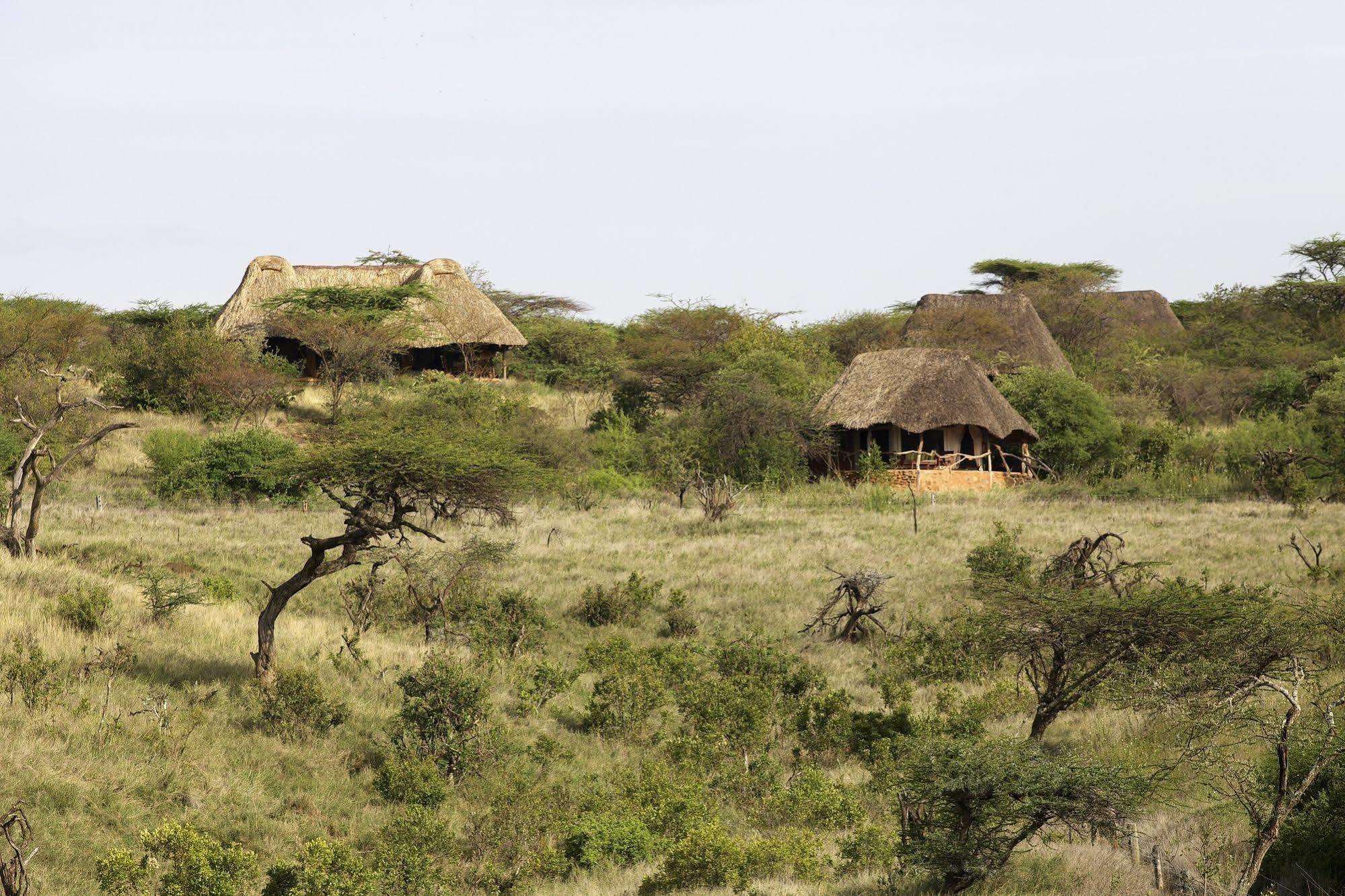 Elewana Lewa Safari Camp Hotel Timau Eksteriør billede