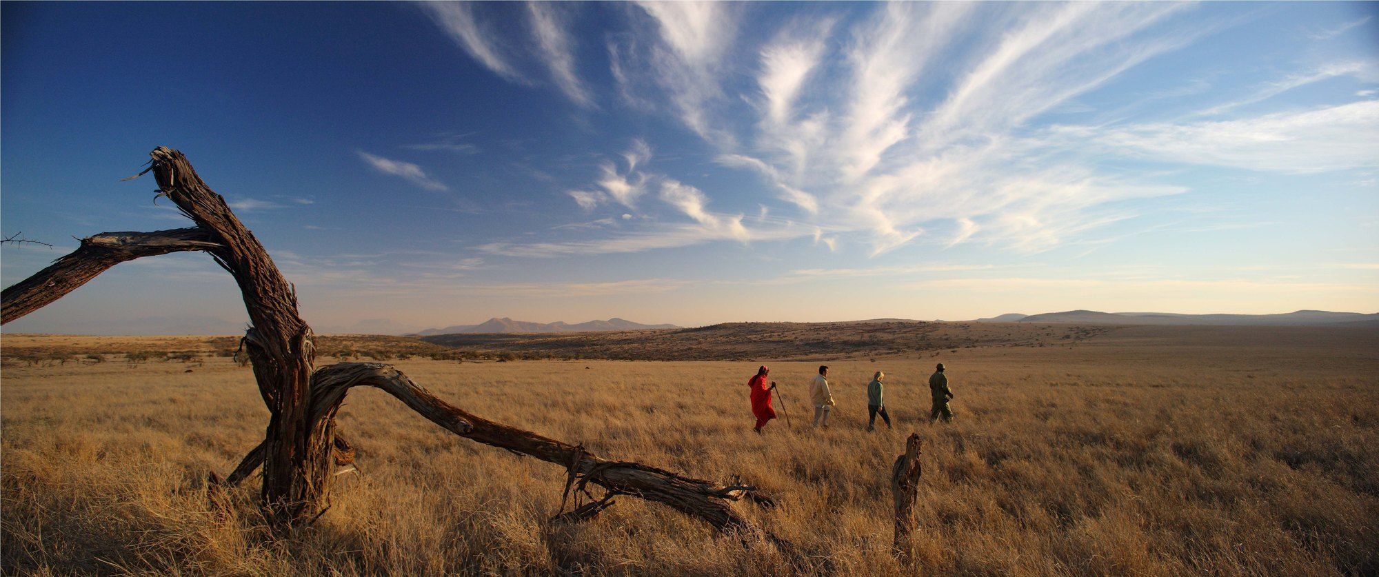 Elewana Lewa Safari Camp Hotel Timau Eksteriør billede
