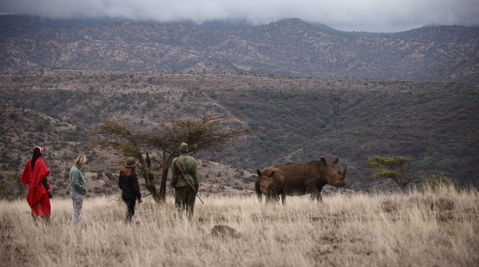 Elewana Lewa Safari Camp Hotel Timau Eksteriør billede