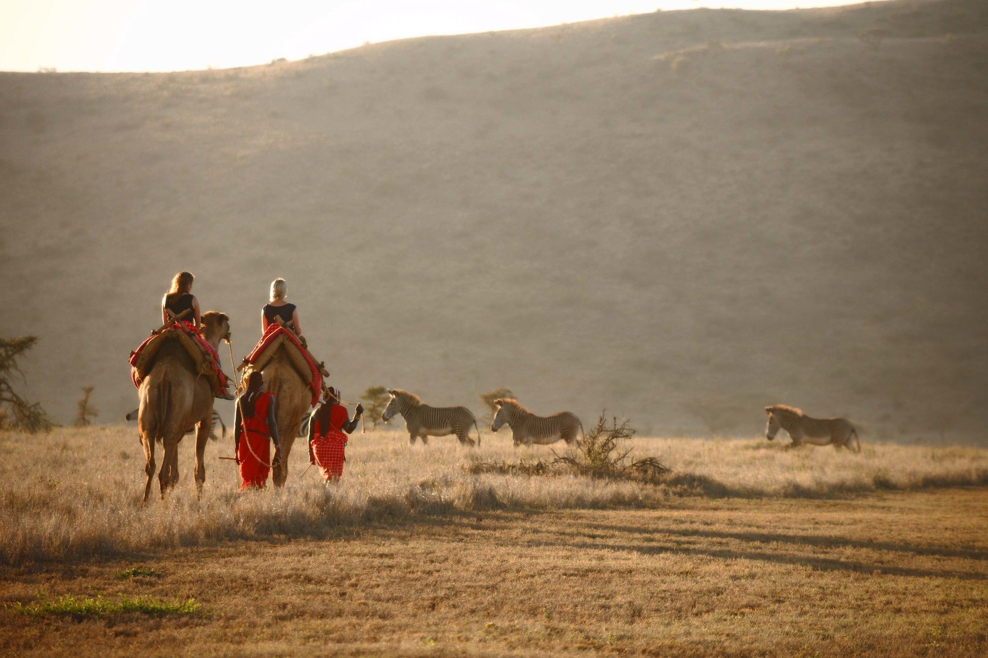 Elewana Lewa Safari Camp Hotel Timau Eksteriør billede