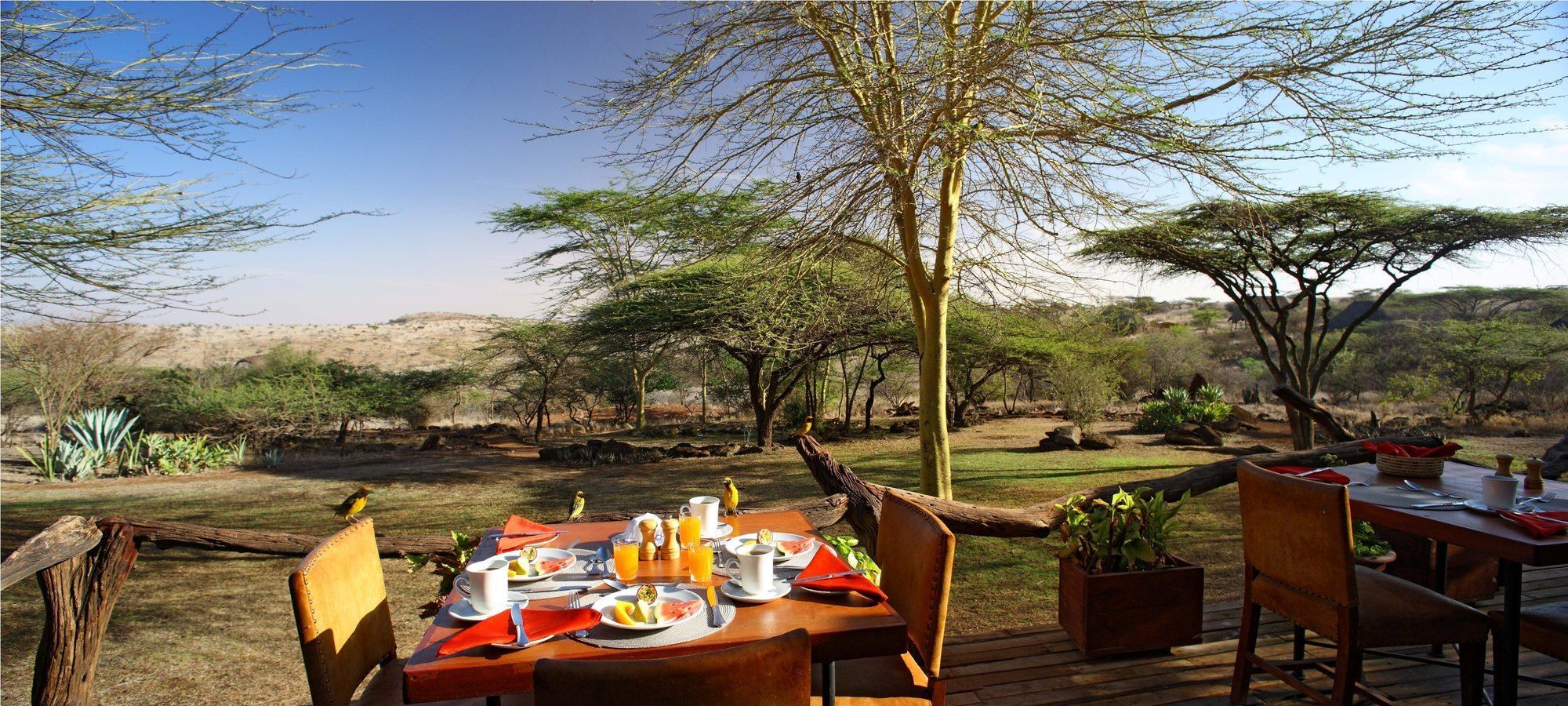 Elewana Lewa Safari Camp Hotel Timau Eksteriør billede